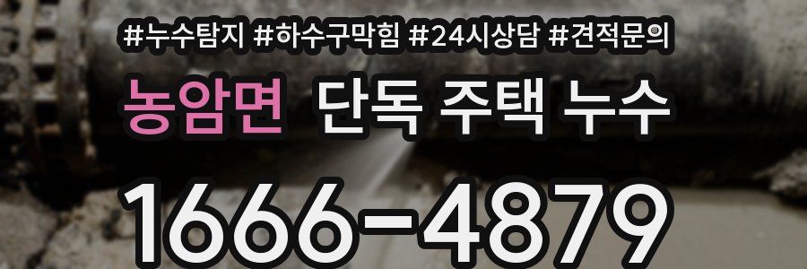 농암면 단독 주택 누수