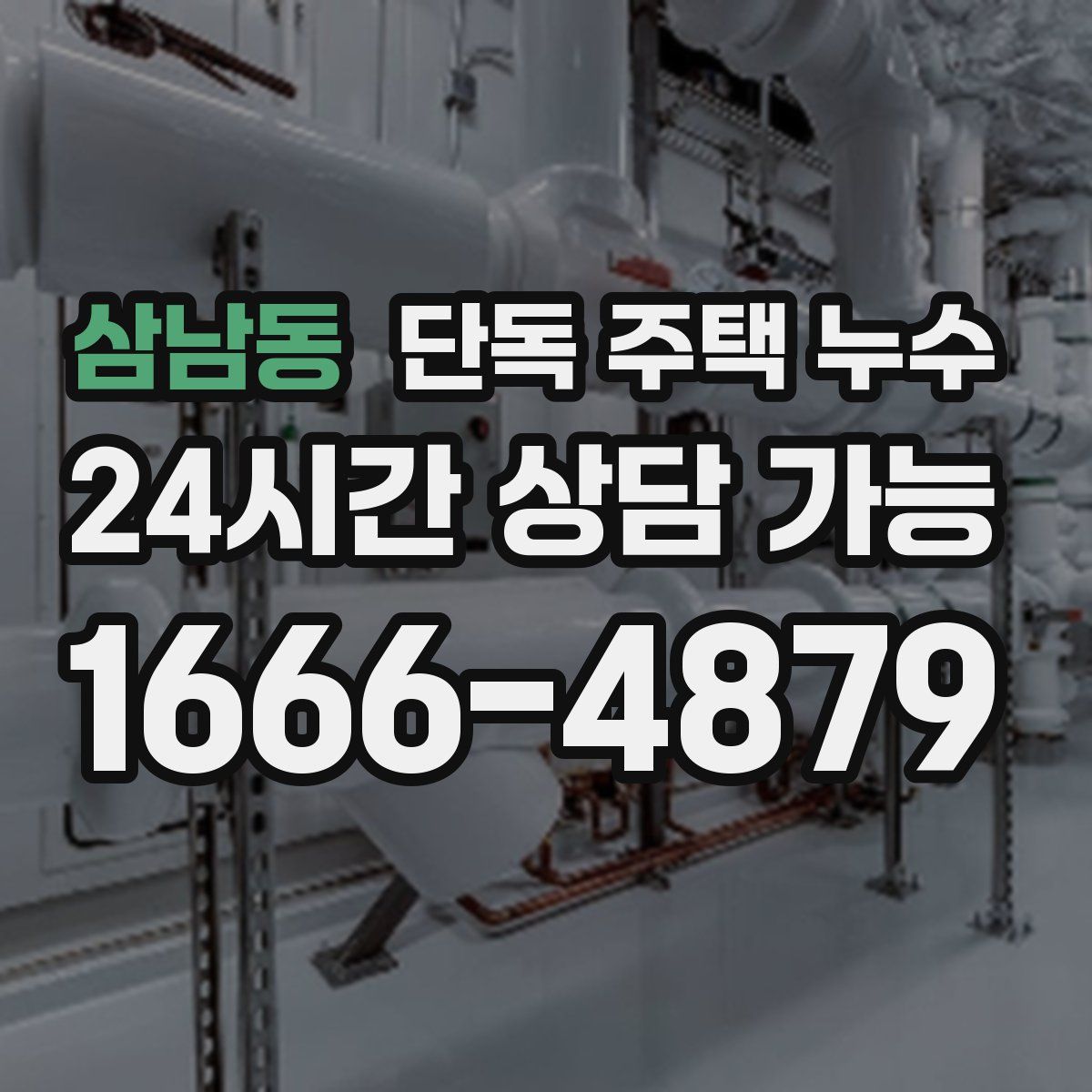 삼남동 단독 주택 누수