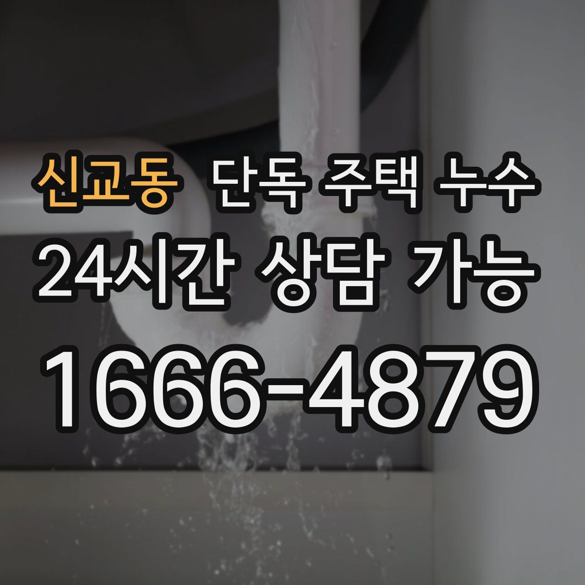 신교동 단독 주택 누수