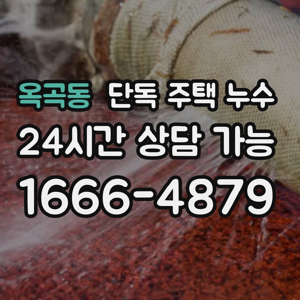 옥곡동 단독 주택 누수