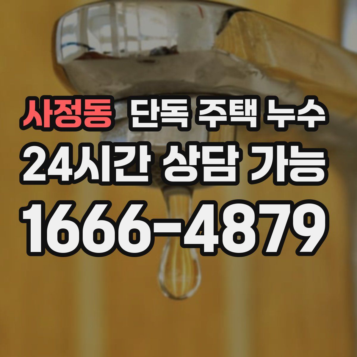 사정동 단독 주택 누수