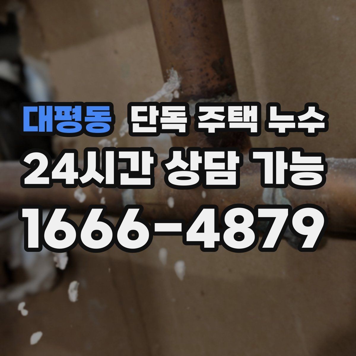 대평동 단독 주택 누수 가구 뒤 벽지 얼룩이 생길 때