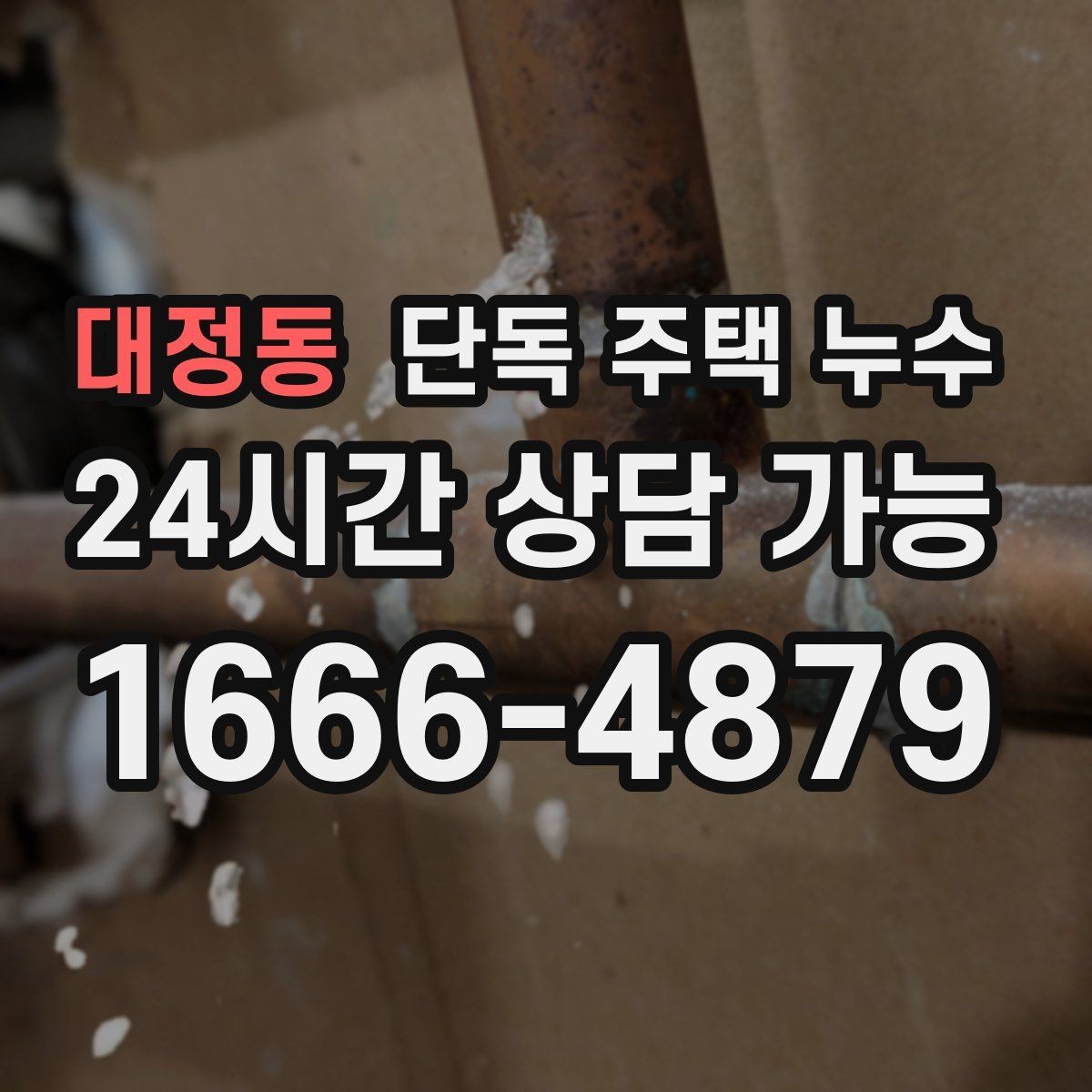 대정동 단독 주택 누수 외벽 쪽 방이 더 축축한 이유