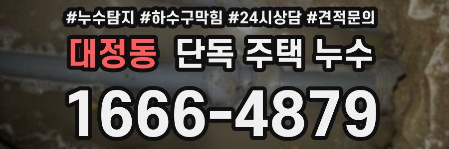 대정동 단독 주택 누수