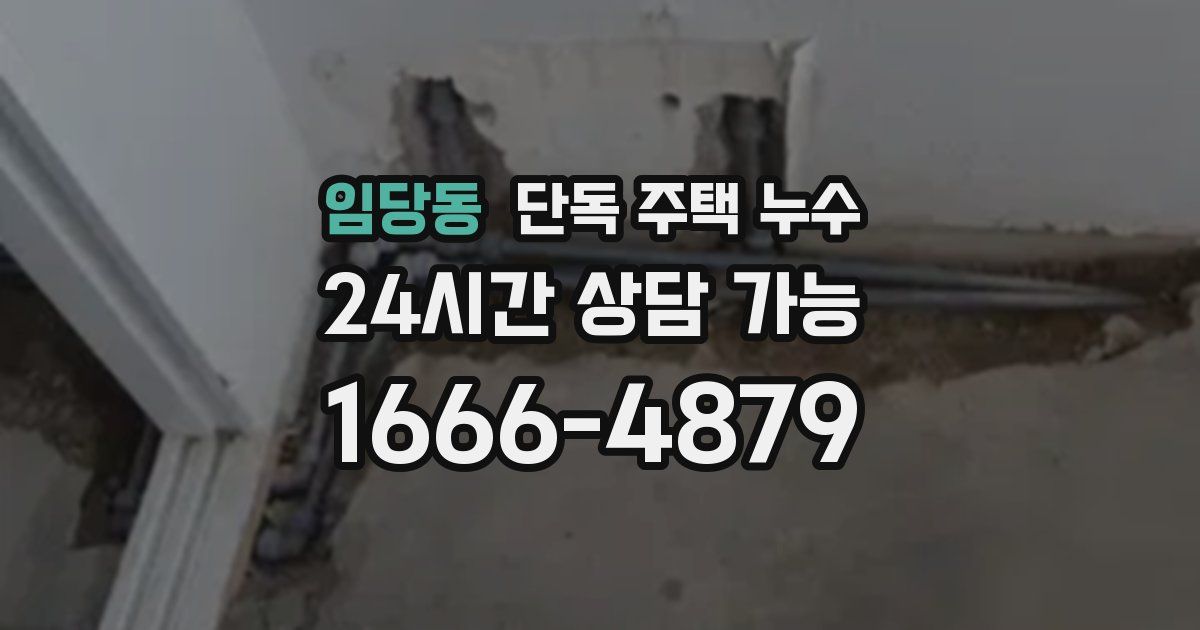 임당동 단독 주택 누수