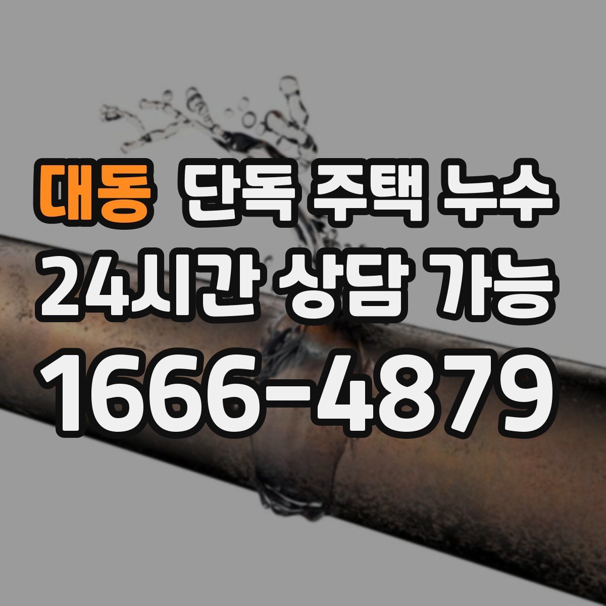 대동 단독 주택 누수