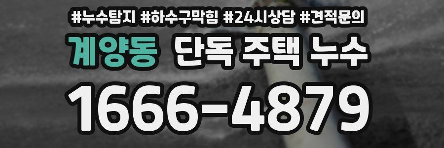 계양동 단독 주택 누수