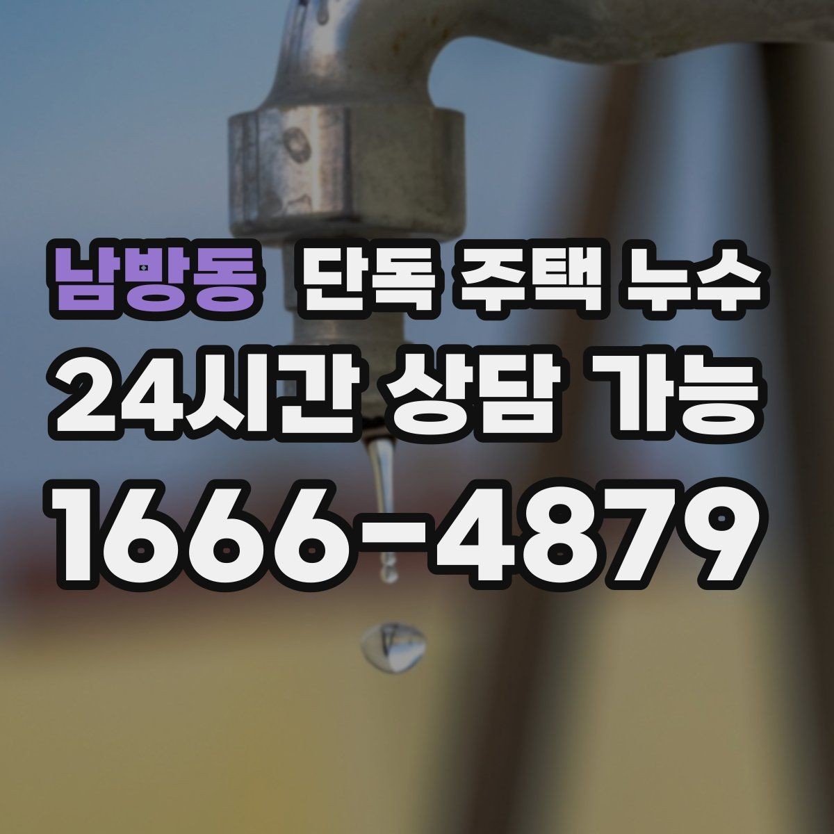 남방동 단독 주택 누수 홈통 청소만으로 예방 가능한 범위