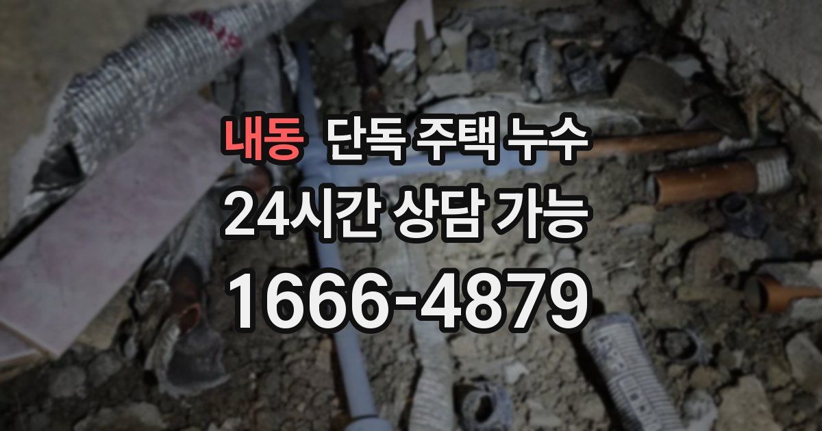 내동 단독 주택 누수
