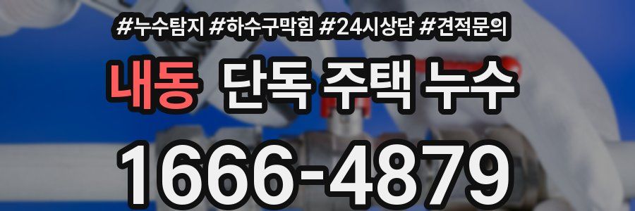 내동 단독 주택 누수