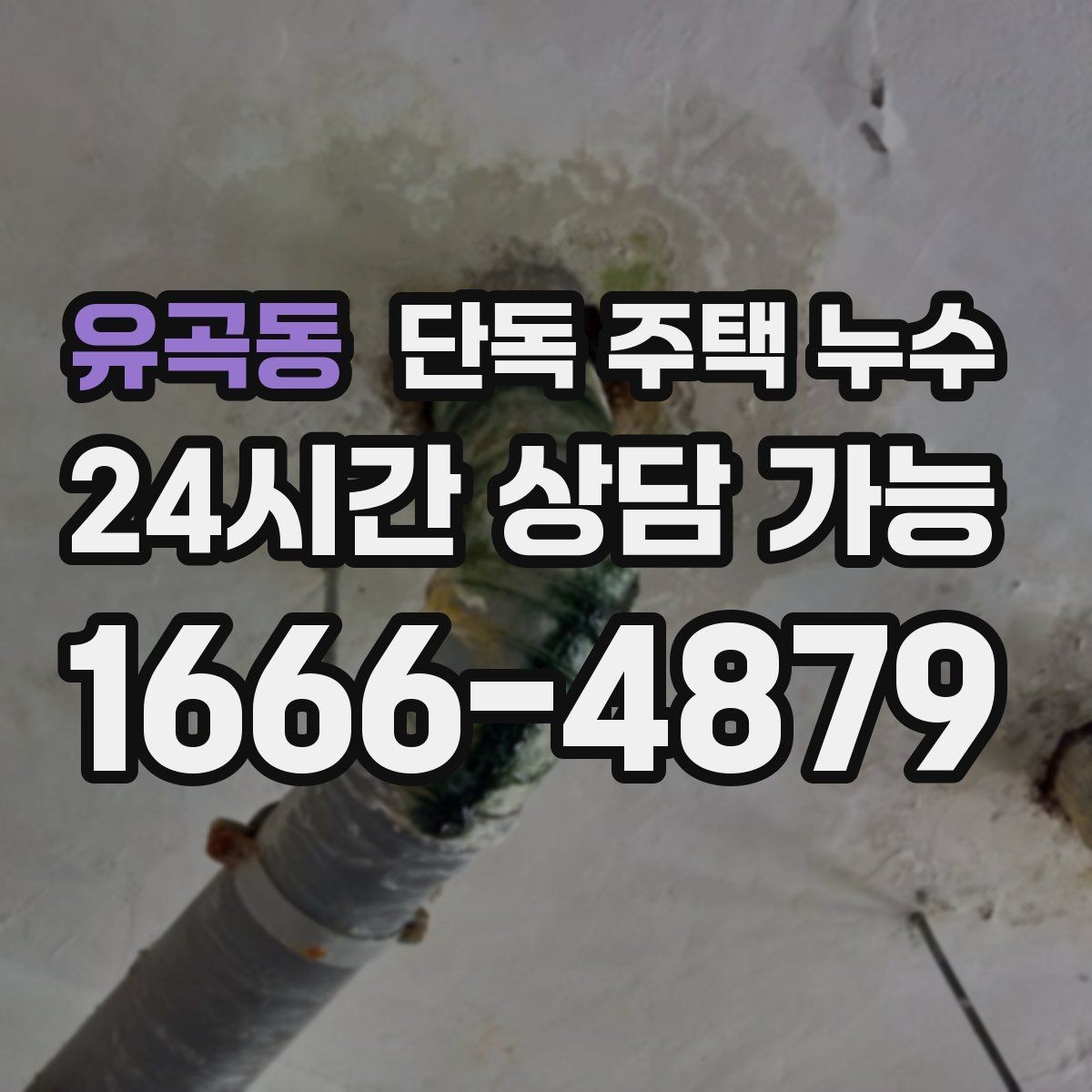 유곡동 단독 주택 누수 욕실 타일 줄눈 문제로 생기는 증상