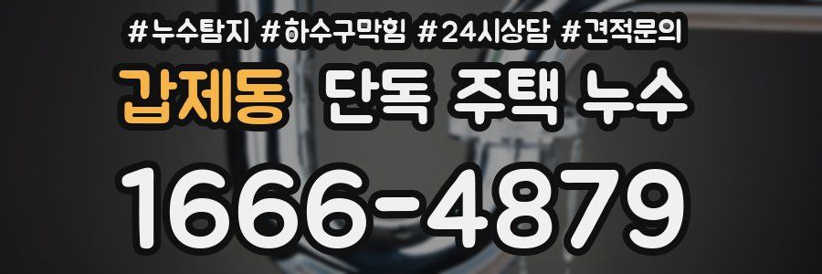 갑제동 단독 주택 누수