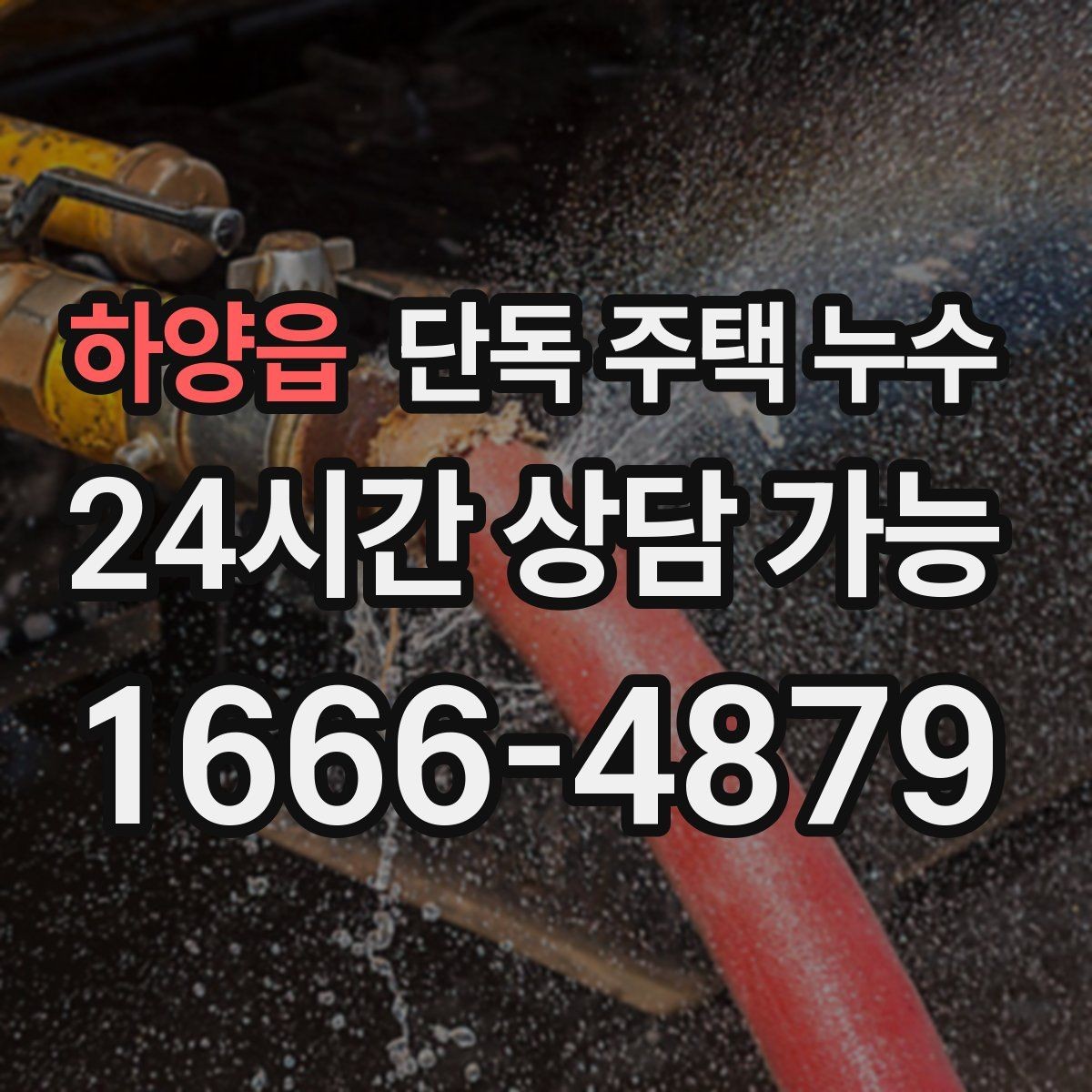 하양읍 단독 주택 누수 장판 아래 곰팡이 생겼다면 무엇을 의심할까