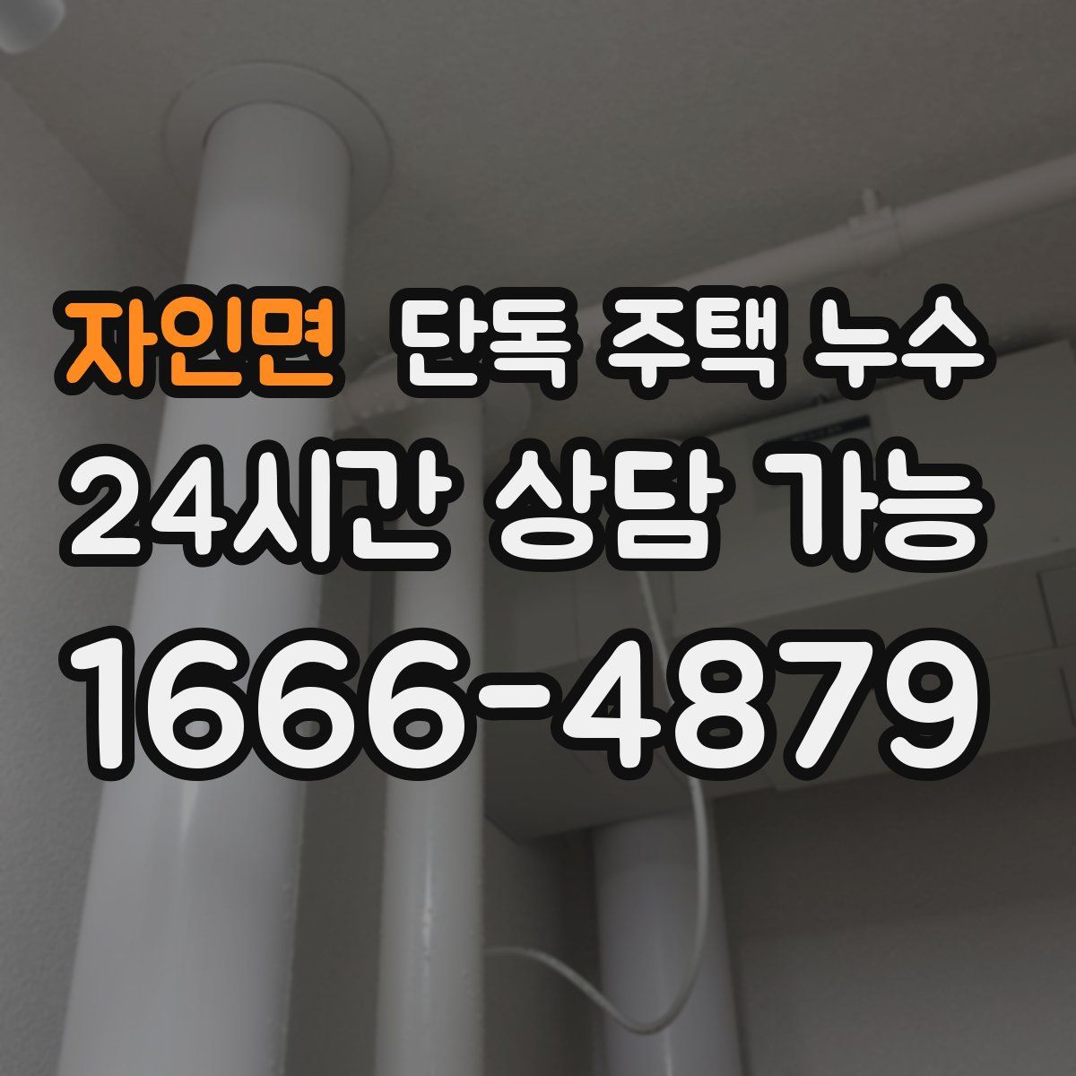 자인면 단독 주택 누수