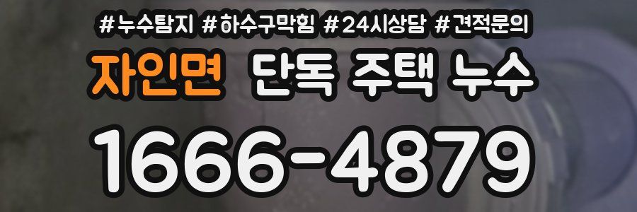 자인면 단독 주택 누수