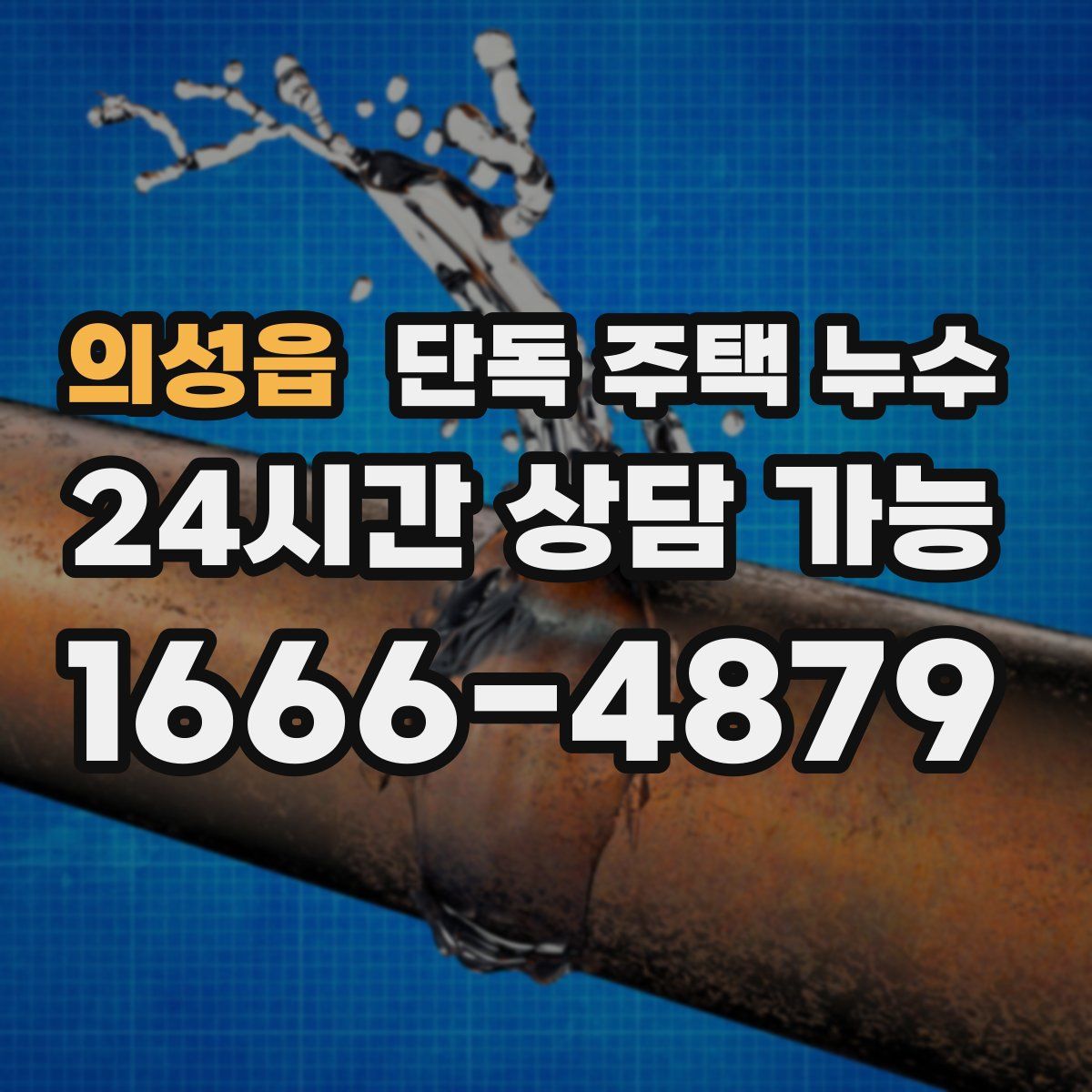 의성읍 단독 주택 누수