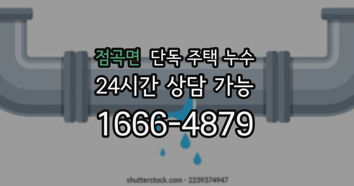 점곡면 단독 주택 누수