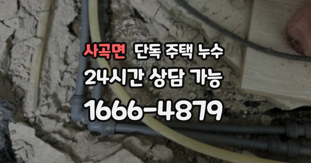 사곡면 단독 주택 누수