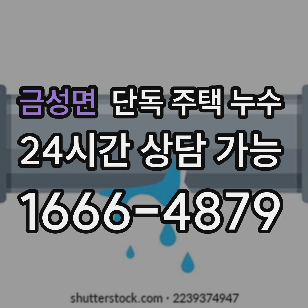 금성면 단독 주택 누수