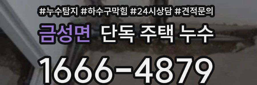 금성면 단독 주택 누수