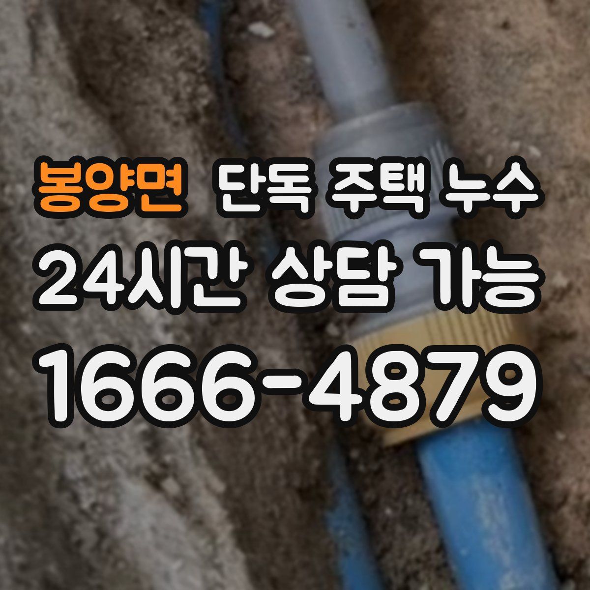 봉양면 단독 주택 누수