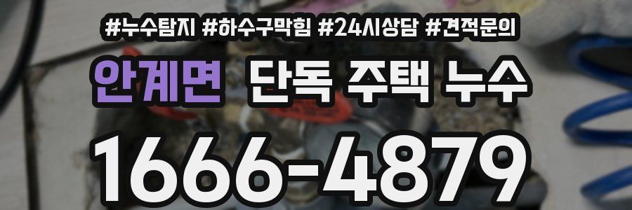 안계면 단독 주택 누수