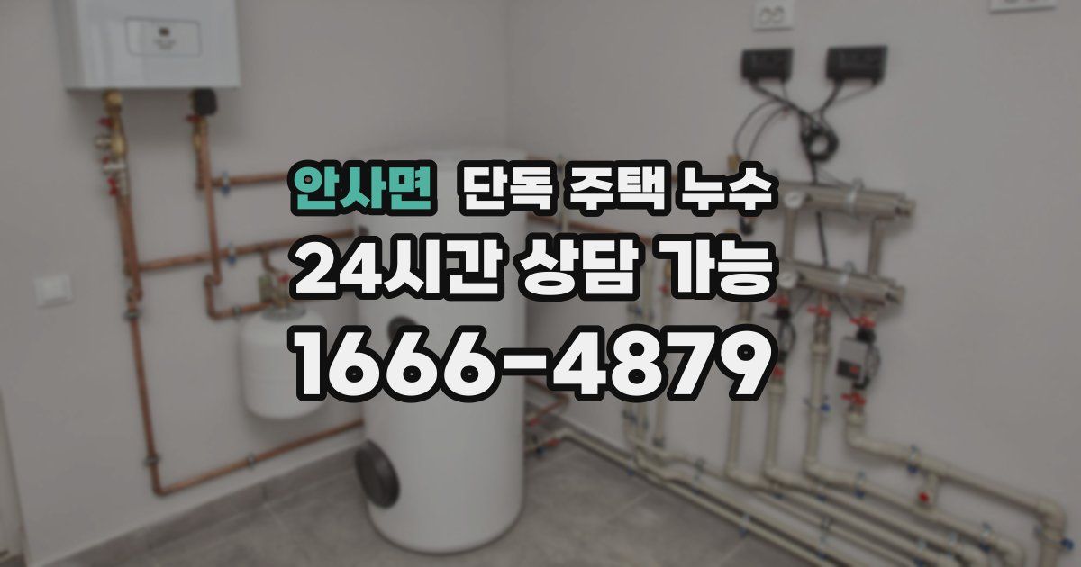 안사면 단독 주택 누수