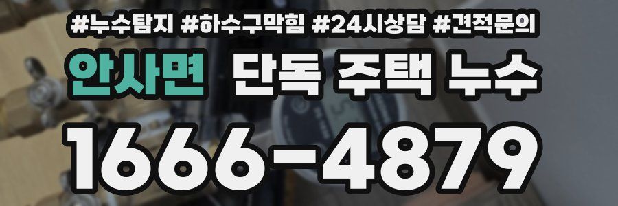 안사면 단독 주택 누수