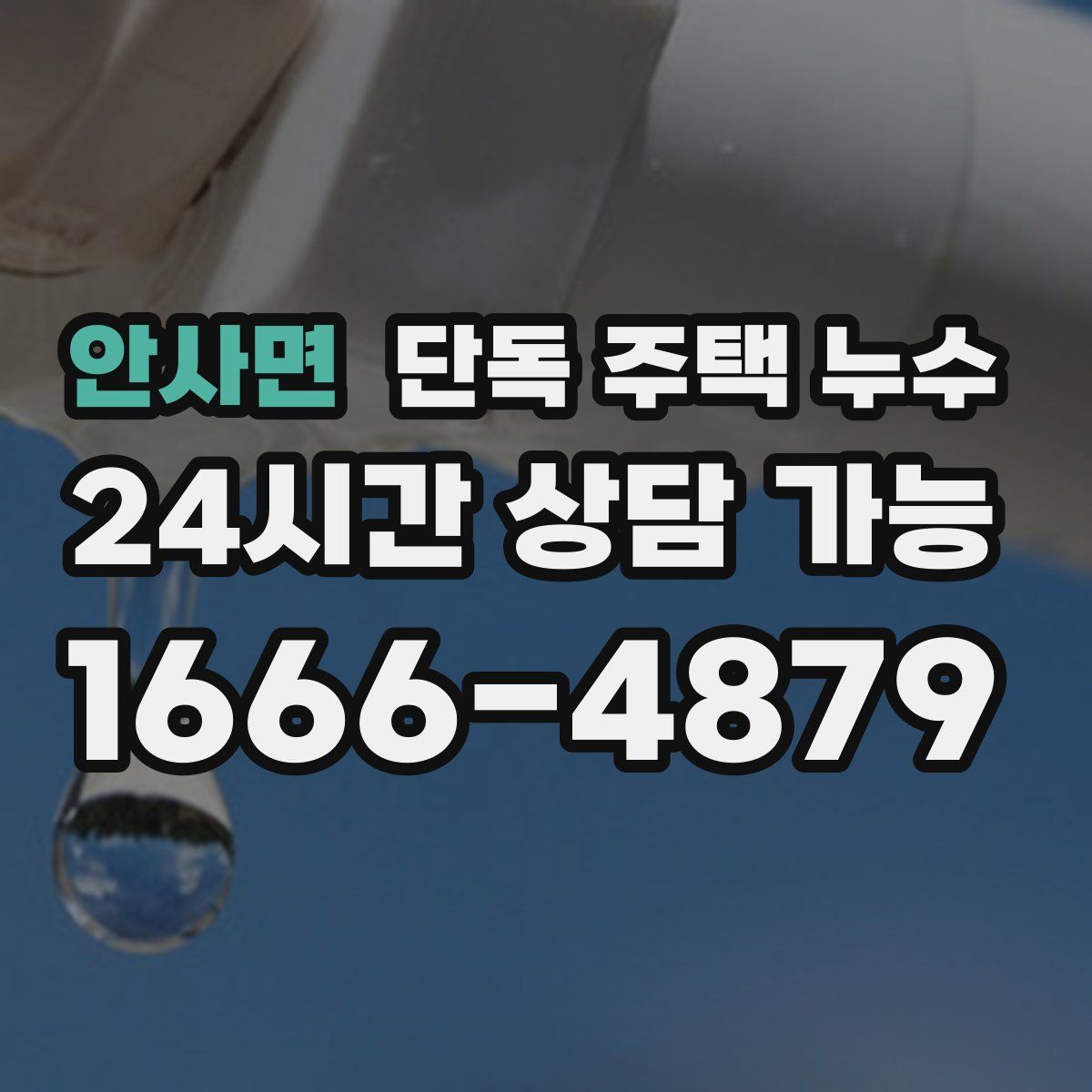 안사면 단독 주택 누수