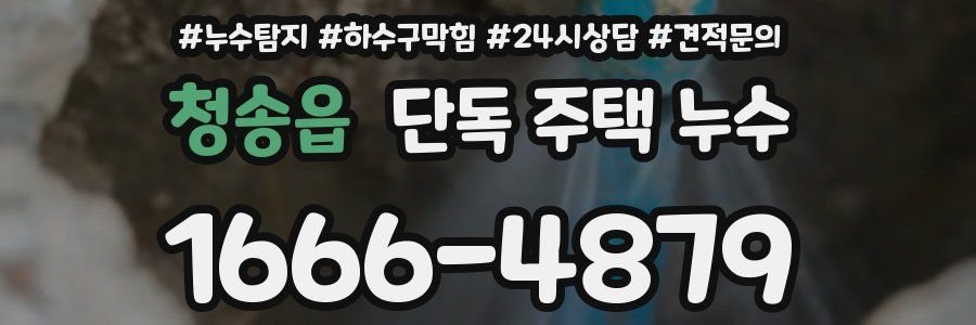 청송읍 단독 주택 누수