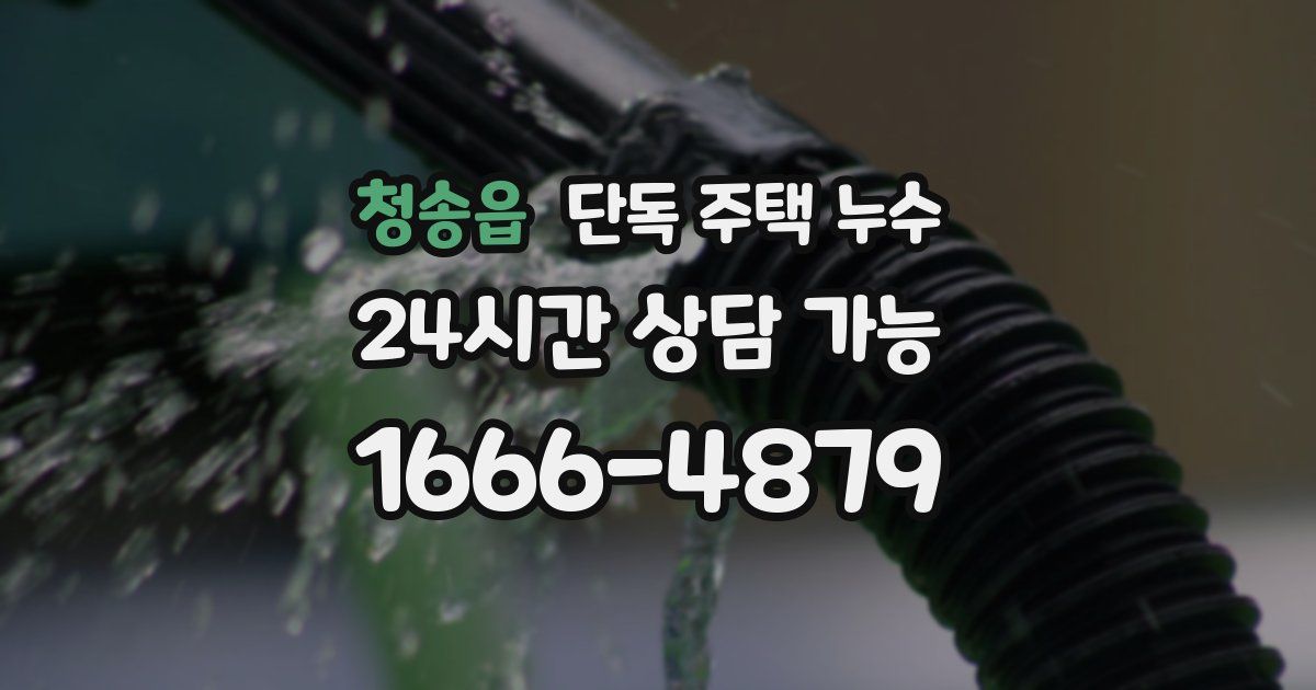 청송읍 단독 주택 누수