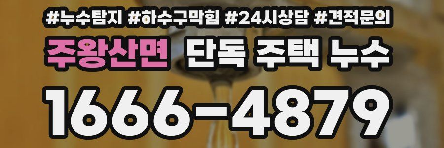 주왕산면 단독 주택 누수