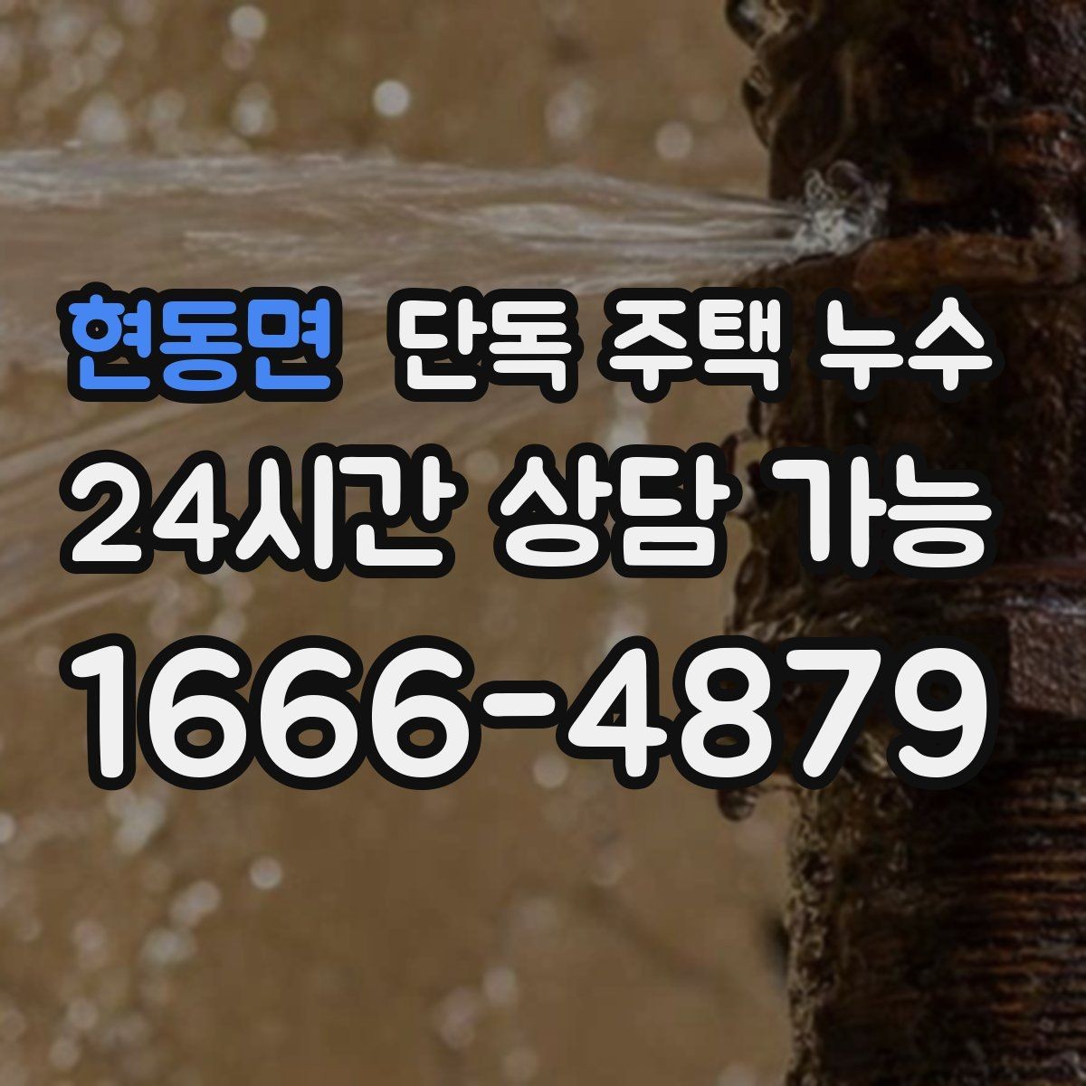 현동면 단독 주택 누수 분배기 밸브 주변 물자국이 생길 때