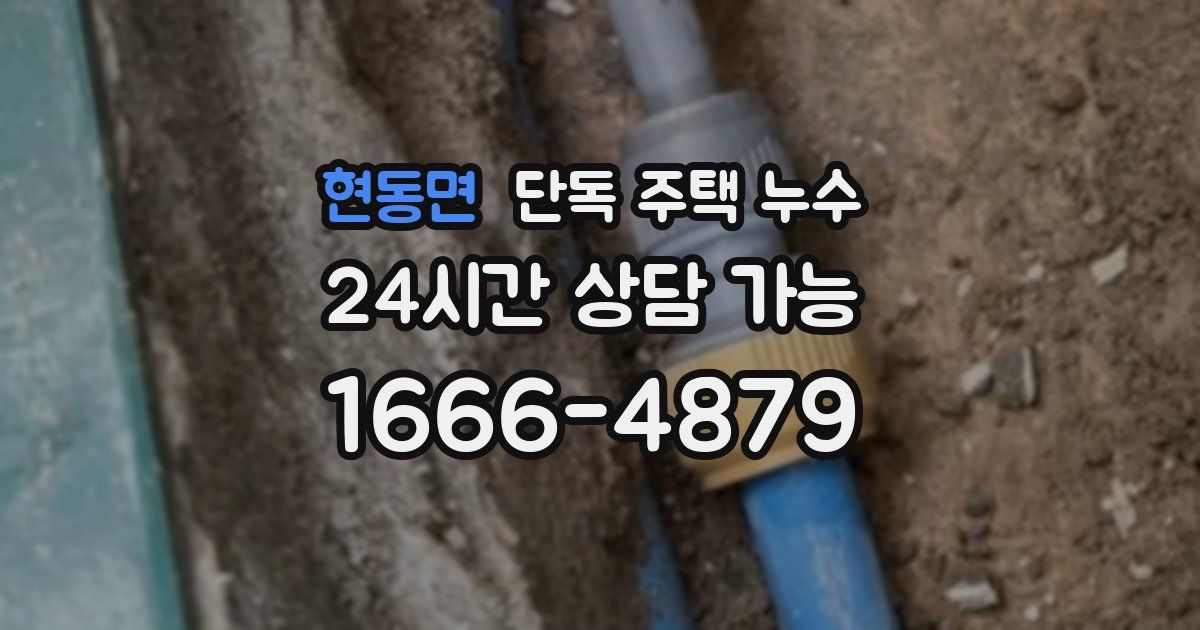 현동면 단독 주택 누수