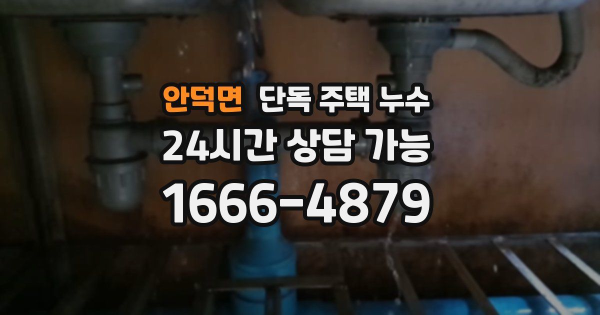 안덕면 단독 주택 누수