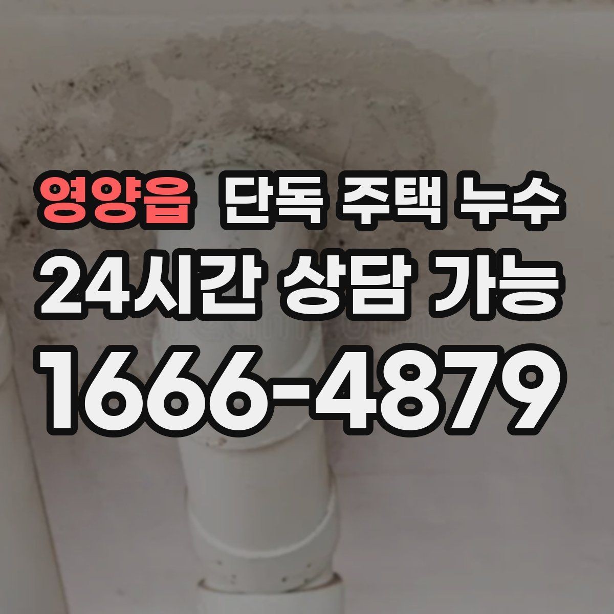 영양읍 단독 주택 누수 다락 천장 얼룩이 생기면 지붕부터 점검