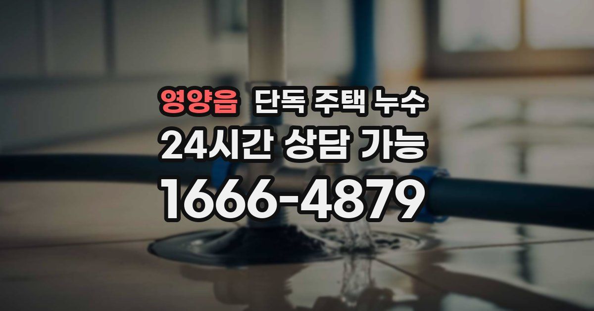 영양읍 단독 주택 누수