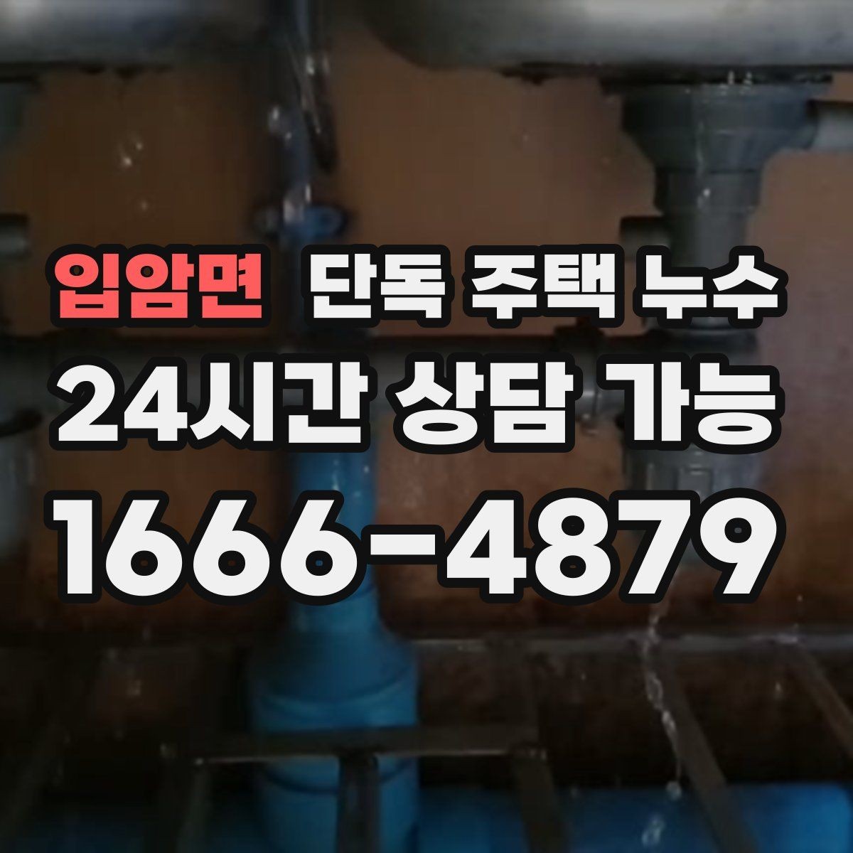 입암면 단독 주택 누수 다용도실 바닥 물자국이 사라지지 않을 때