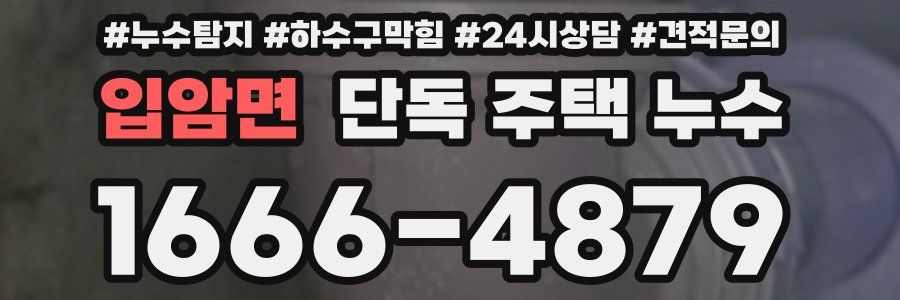 입암면 단독 주택 누수