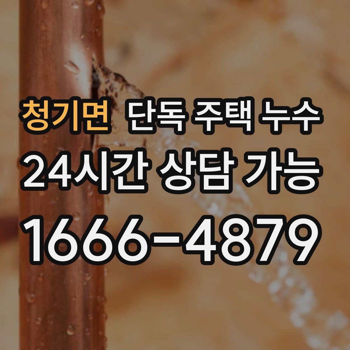 청기면 단독 주택 누수 홈통 문제로 실내 벽이 젖는 과정