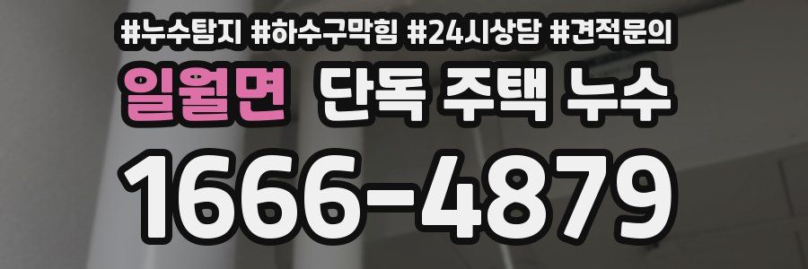 일월면 단독 주택 누수