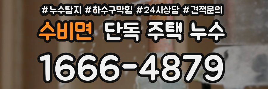 수비면 단독 주택 누수