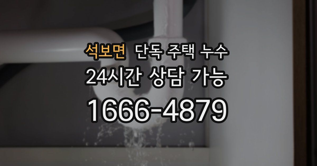 석보면 단독 주택 누수