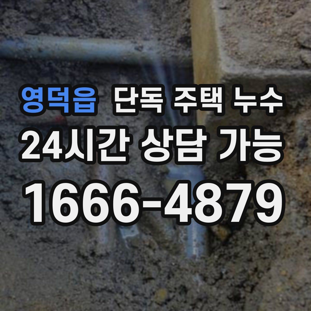 영덕읍 단독 주택 누수 한 번에 원인 잡는 점검 흐름 정리