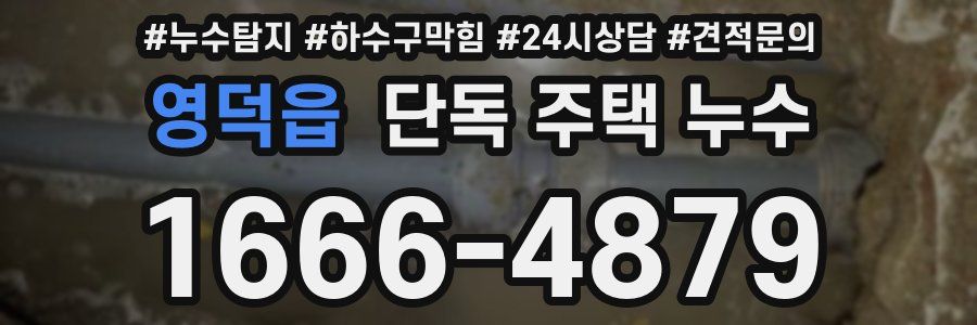 영덕읍 단독 주택 누수