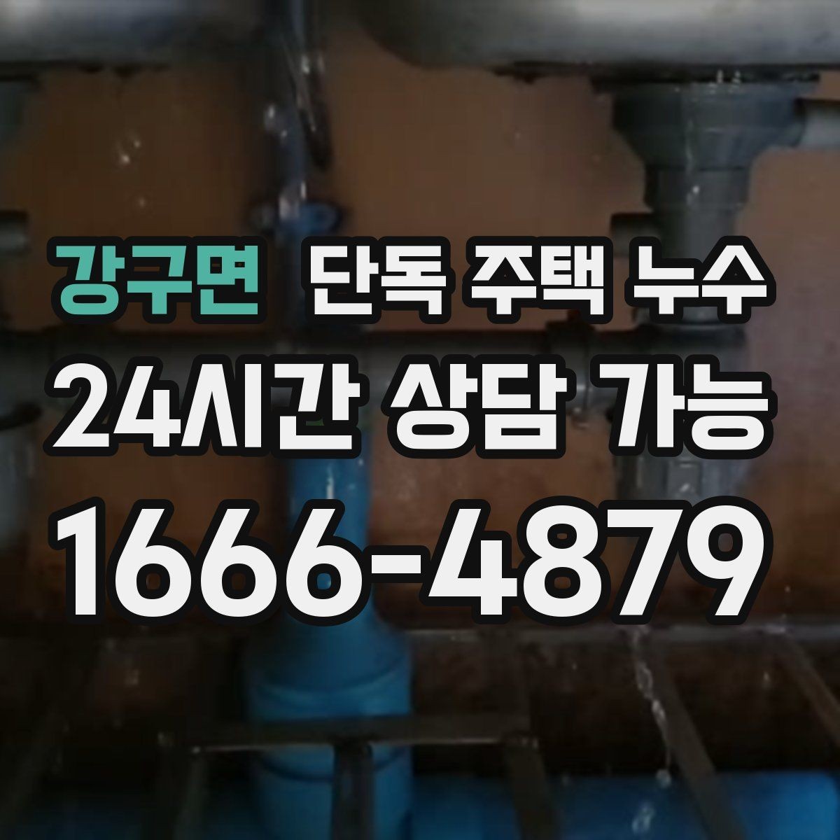 강구면 단독 주택 누수 우수관 연결부 틈새가 문제일 때