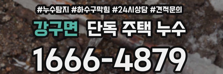 강구면 단독 주택 누수