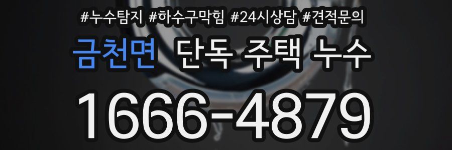 금천면 단독 주택 누수