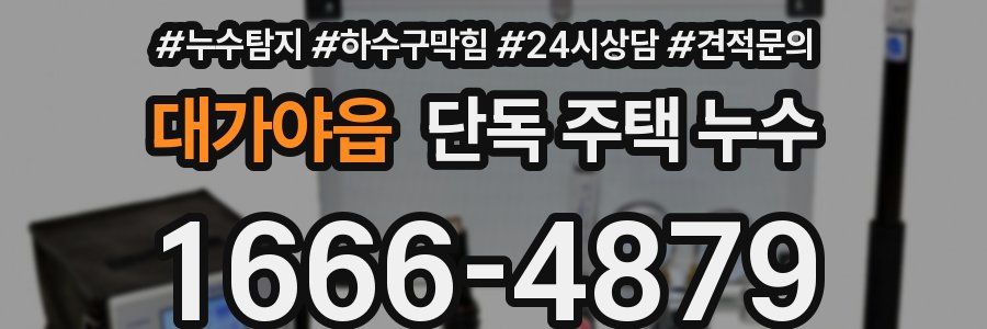 대가야읍 단독 주택 누수