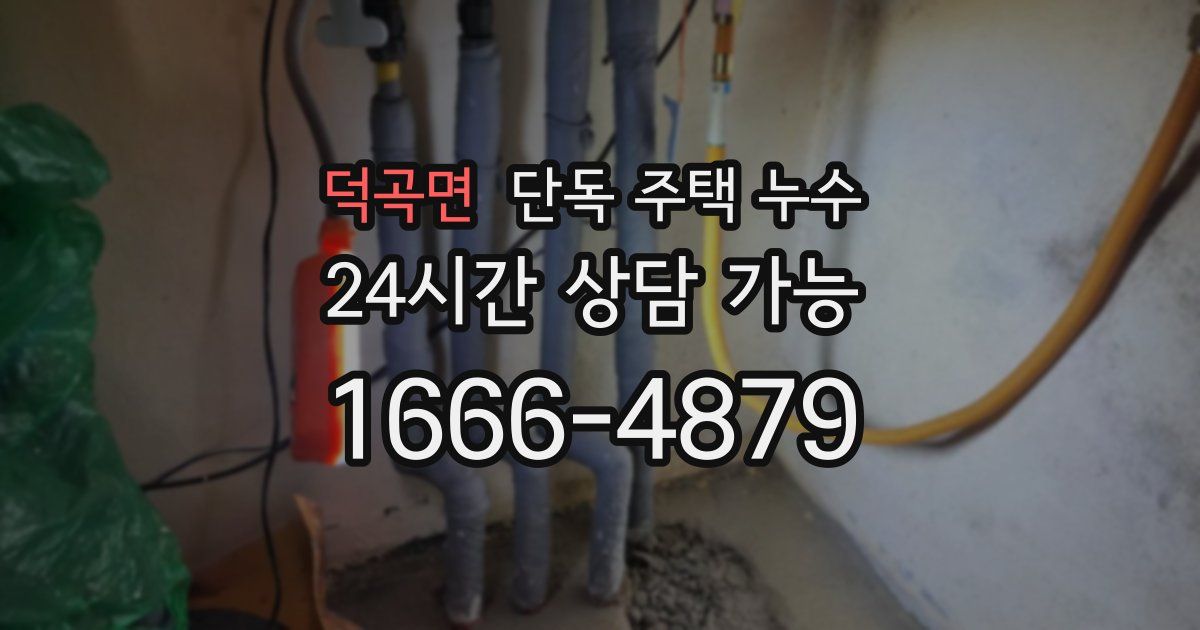 덕곡면 단독 주택 누수